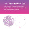 VUV Deluxe Foldable UV Sanitizer Box - Eyebloc